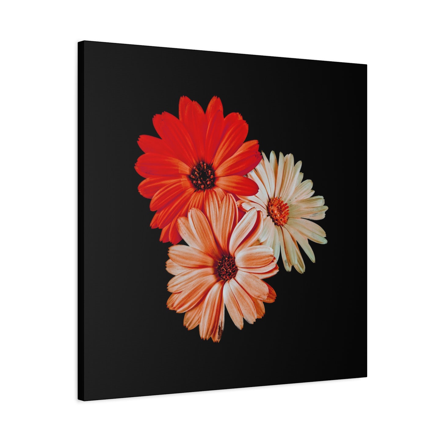 Collection Signature "FLORAL Numéro 7" sur Toile Fine Art sur Toile / Epaisseur 3,2cm - 1'25 po