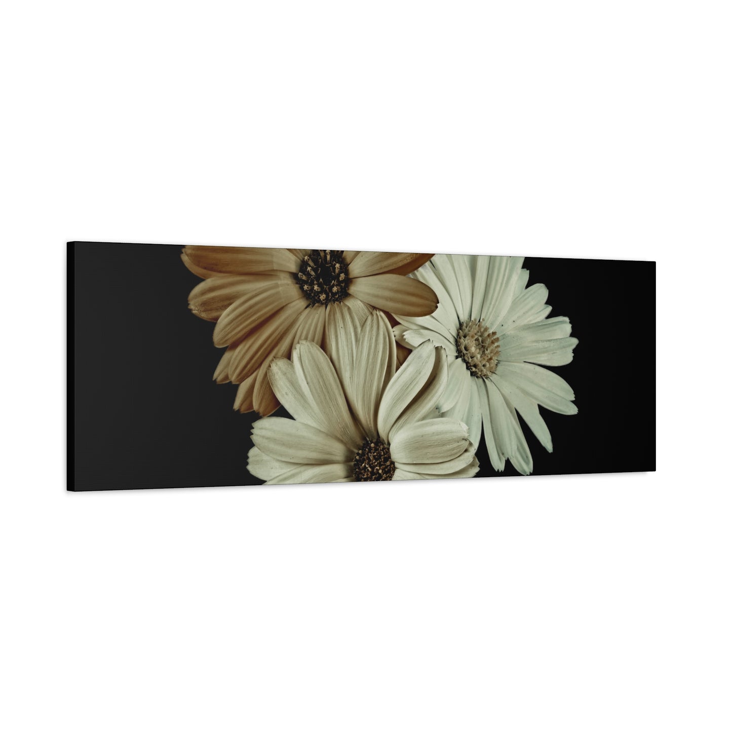 Collection Signature "FLORAL Numéro 3" sur Toile Fine Art sur Toile / Epaisseur 3,2cm - 1'25 po