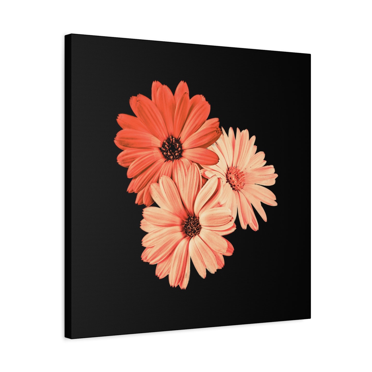 Collection Signature "FLORAL Numéro 6" sur Toile Fine Art sur Toile / Epaisseur 3,2cm - 1'25 po