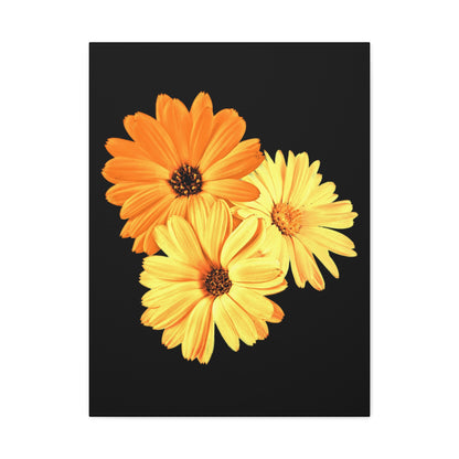 Collection Signature "FLORAL Numéro 8" sur Toile Fine Art sur Toile / Epaisseur 3,2cm - 1'25 po