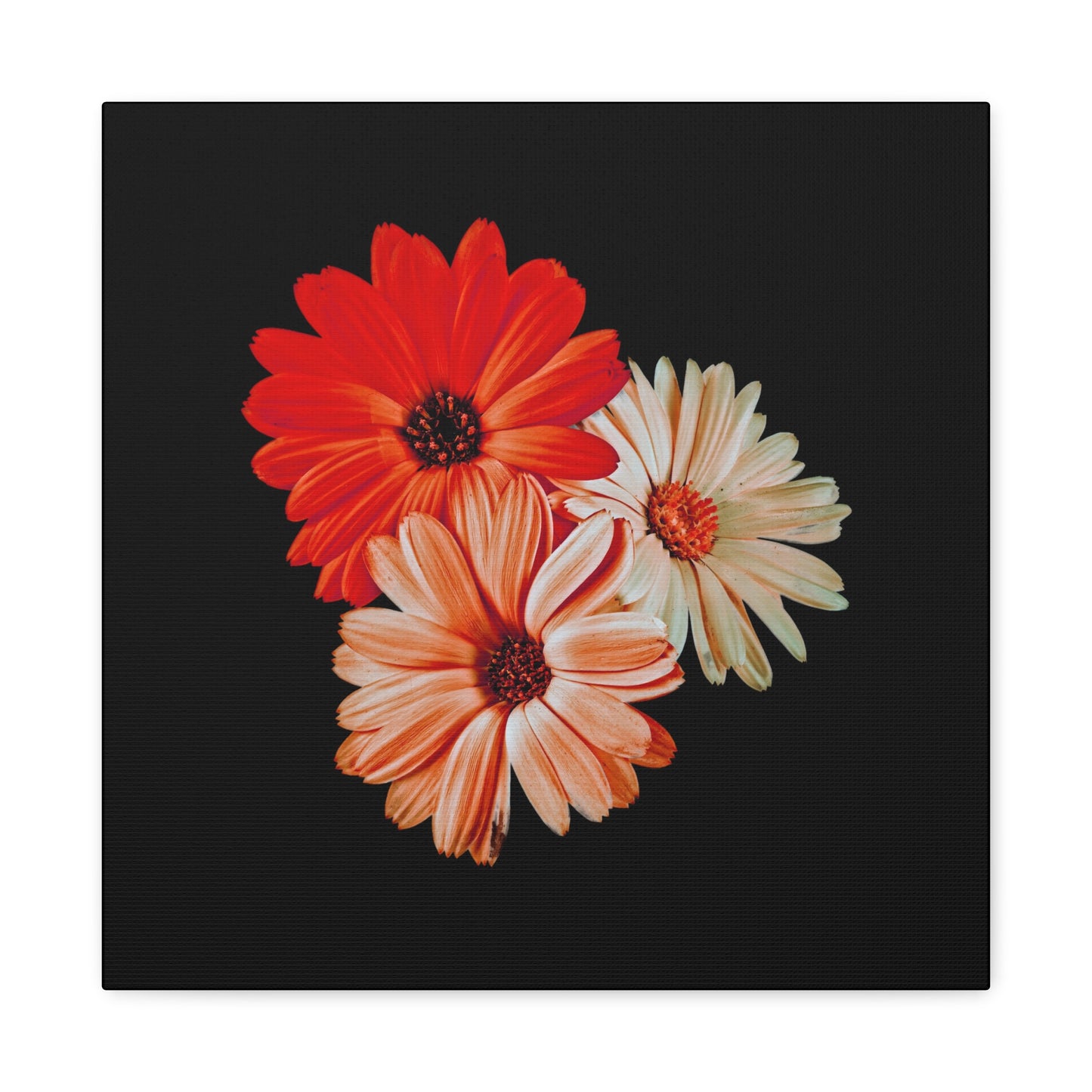 Collection Signature "FLORAL Numéro 7" sur Toile Fine Art sur Toile / Epaisseur 3,2cm - 1'25 po