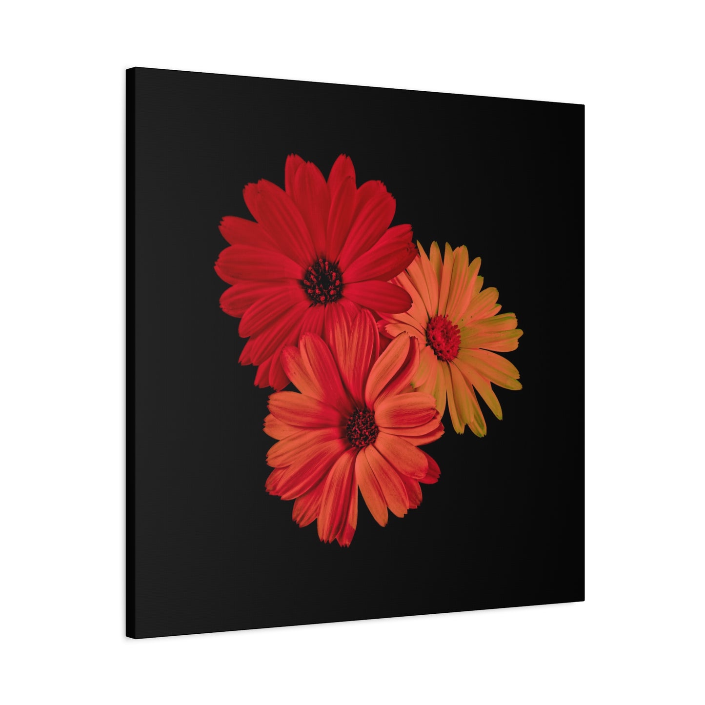 Collection Signature "FLORAL Numéro 1" sur Toile Fine Art sur Toile / Epaisseur 3,2cm - 1'25 po