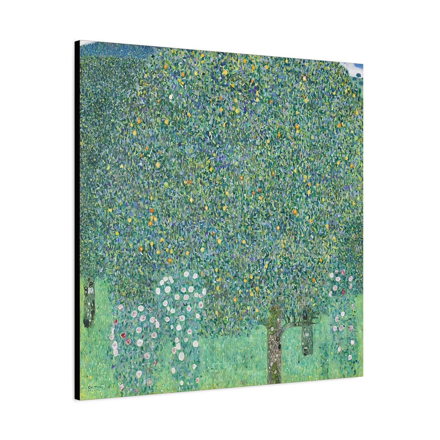 Rosebushes under the Trees (circa 1905) by Gustav Klimt / Reproduction Fine Art sur Toile / Flanc Large Epaisseur 3.2 cm - 1.25 inch