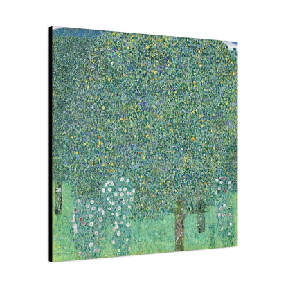 Rosebushes under the Trees (circa 1905) by Gustav Klimt / Reproduction Fine Art sur Toile / Flanc Large Epaisseur 3.2 cm - 1.25 inch