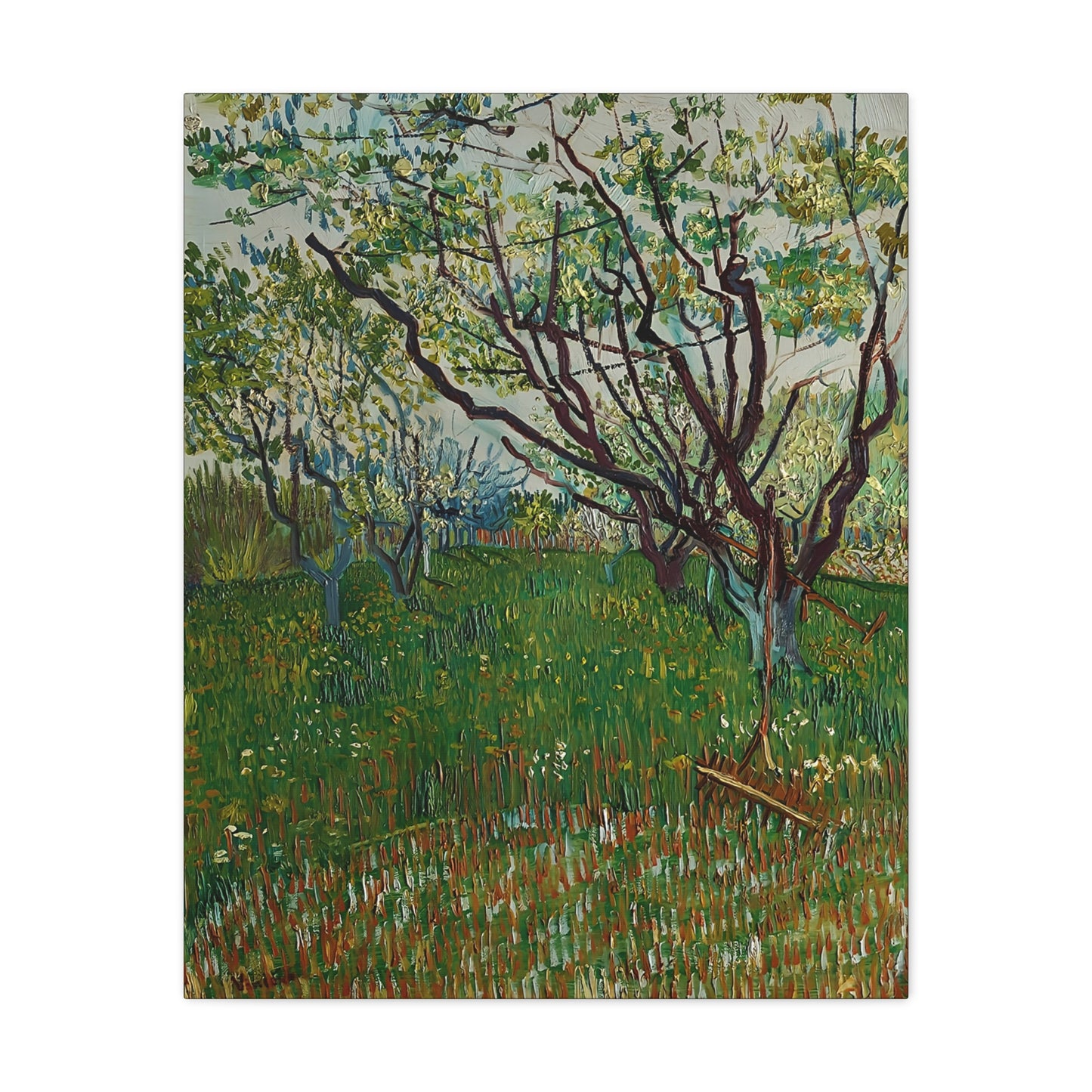 The Flowering Orchard (1888) by Vincent van Gogh  / Reproduction Fine Art sur Toile / Epaisseur 3,2cm - 1'25 po