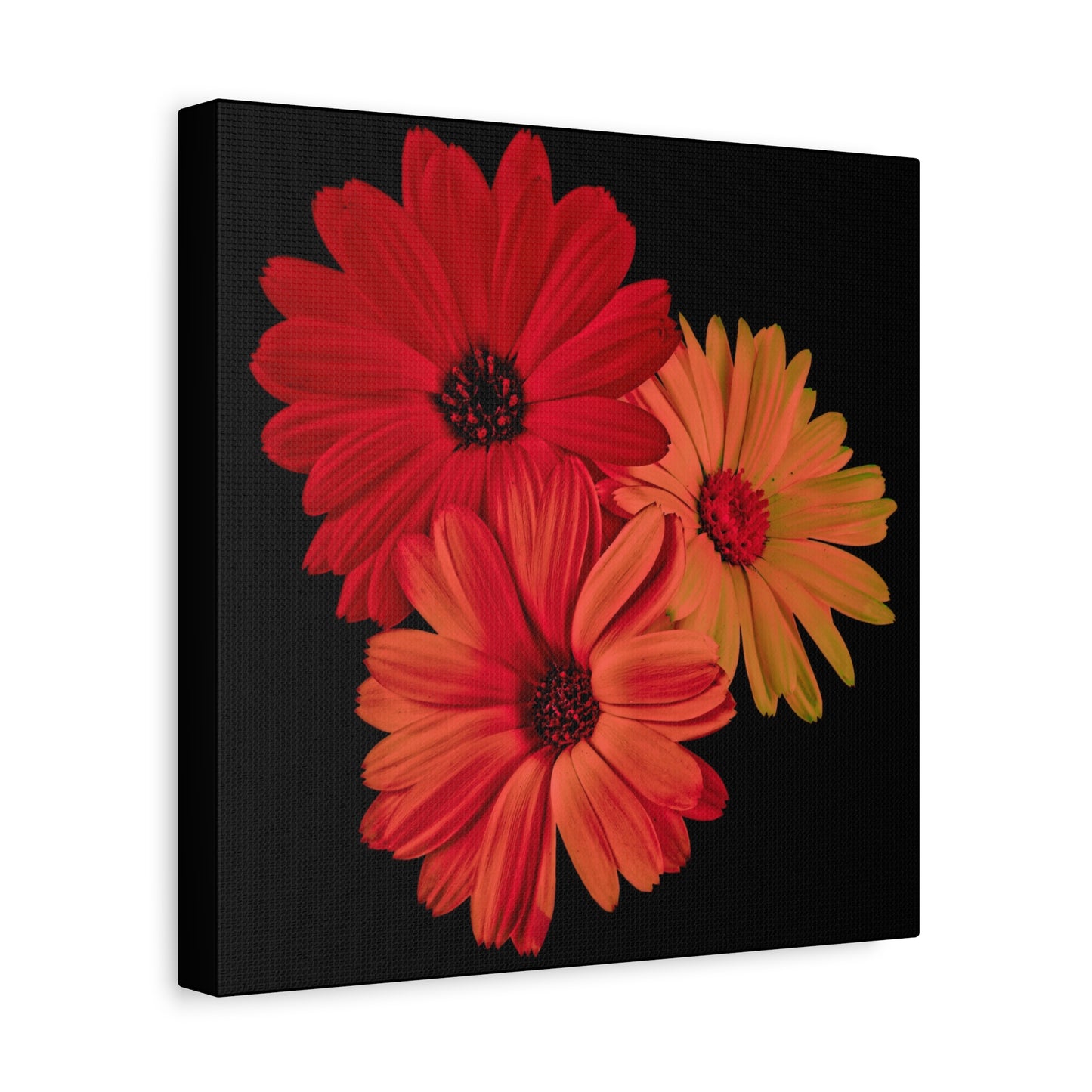 Collection Signature "FLORAL Numéro 1" sur Toile Fine Art sur Toile / Epaisseur 3,2cm - 1'25 po