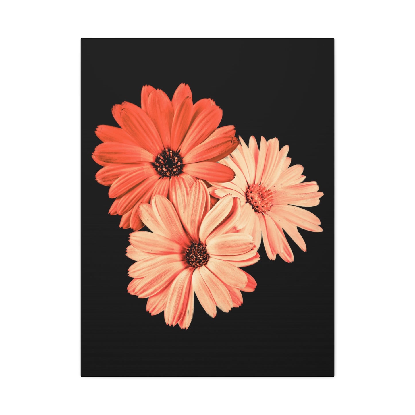 Collection Signature "FLORAL Numéro 6" sur Toile Fine Art sur Toile / Epaisseur 3,2cm - 1'25 po