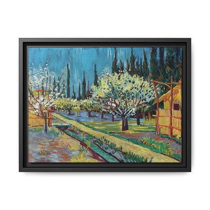 Orchard Bordered by Cypresses (1888) by Vincent van Gogh / Toile encadrée sur caisse américaine