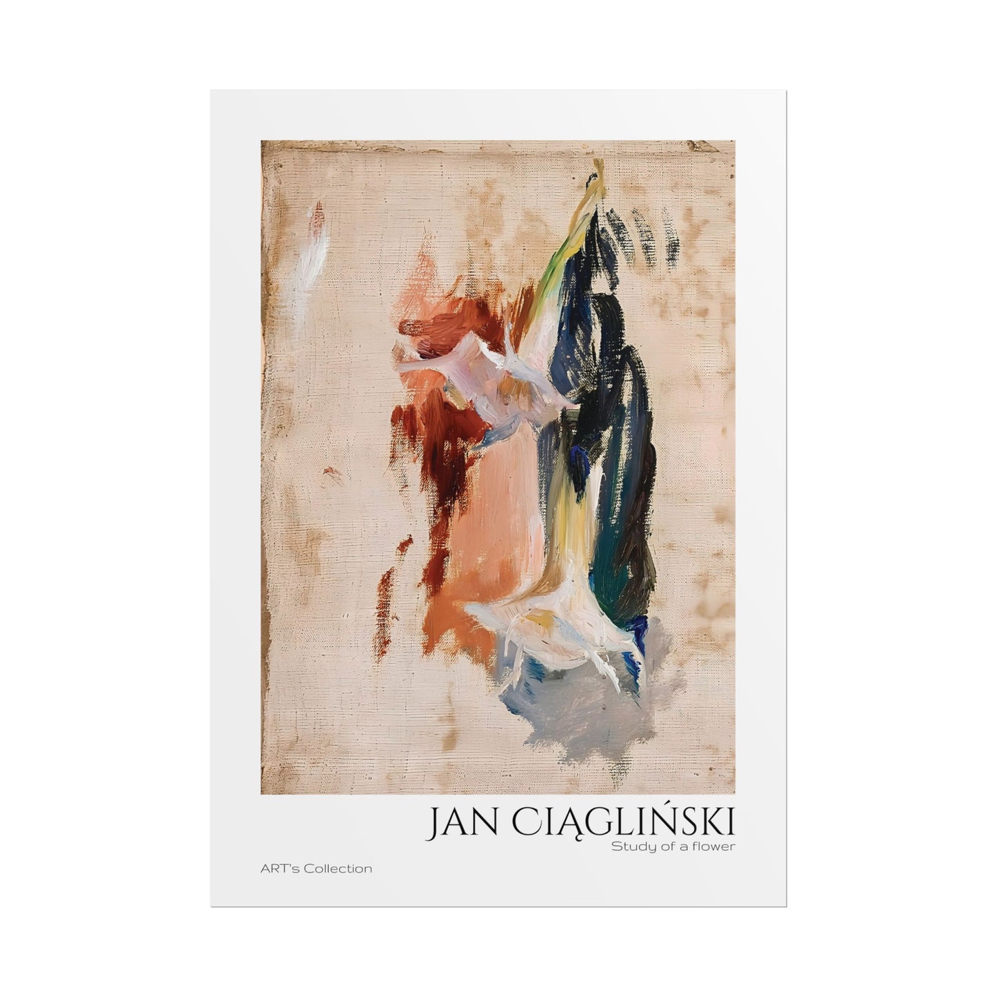 Study of a flower by Jan Ciaglinski / Affiche imprimée - Série ART's Collection