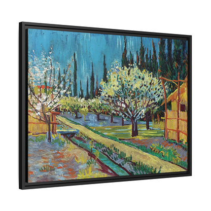 Orchard Bordered by Cypresses (1888) by Vincent van Gogh / Toile encadrée sur caisse américaine
