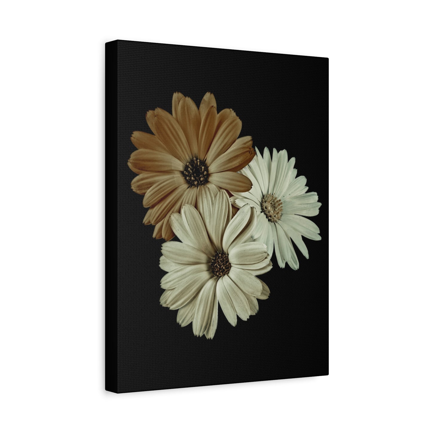 Collection Signature "FLORAL Numéro 3" sur Toile Fine Art sur Toile / Epaisseur 3,2cm - 1'25 po