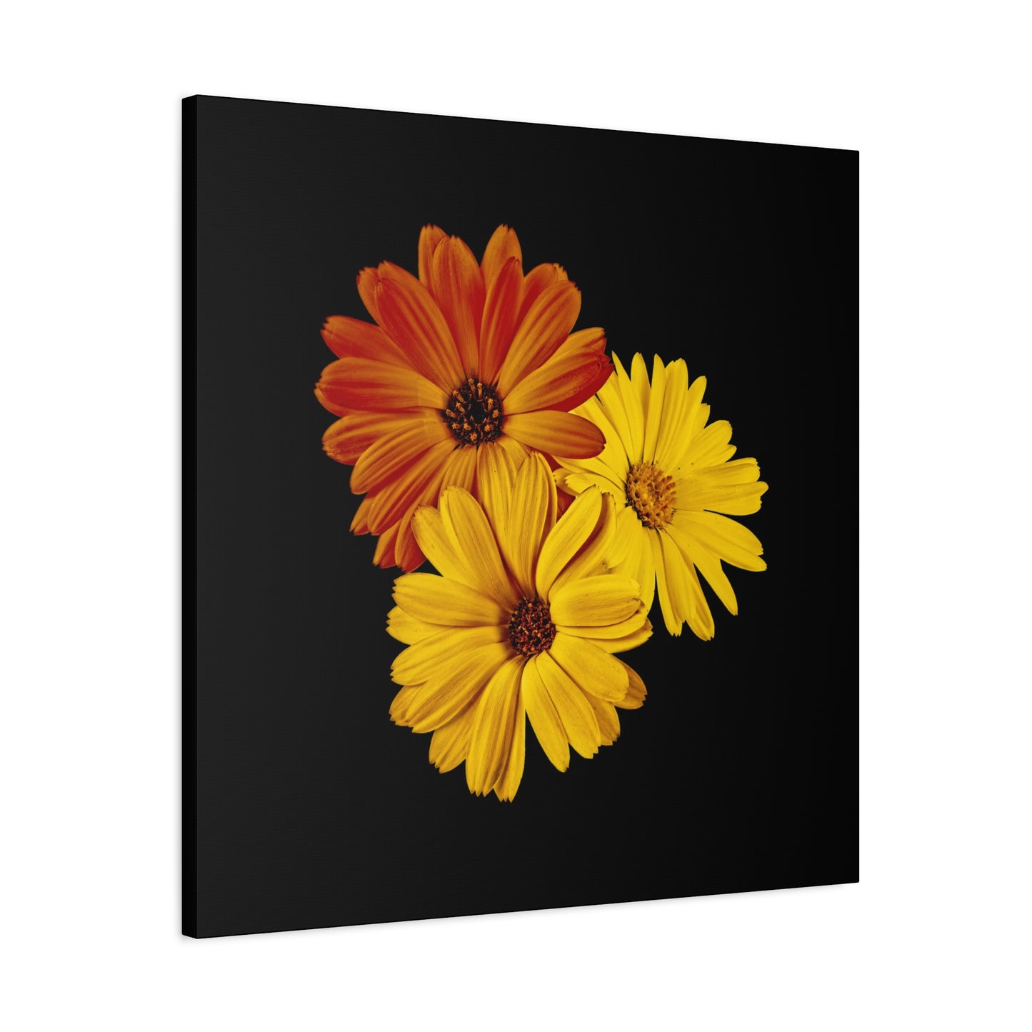Collection Signature "FLORAL Numéro 4" sur Toile Fine Art sur Toile / Epaisseur 3,2cm - 1'25 po
