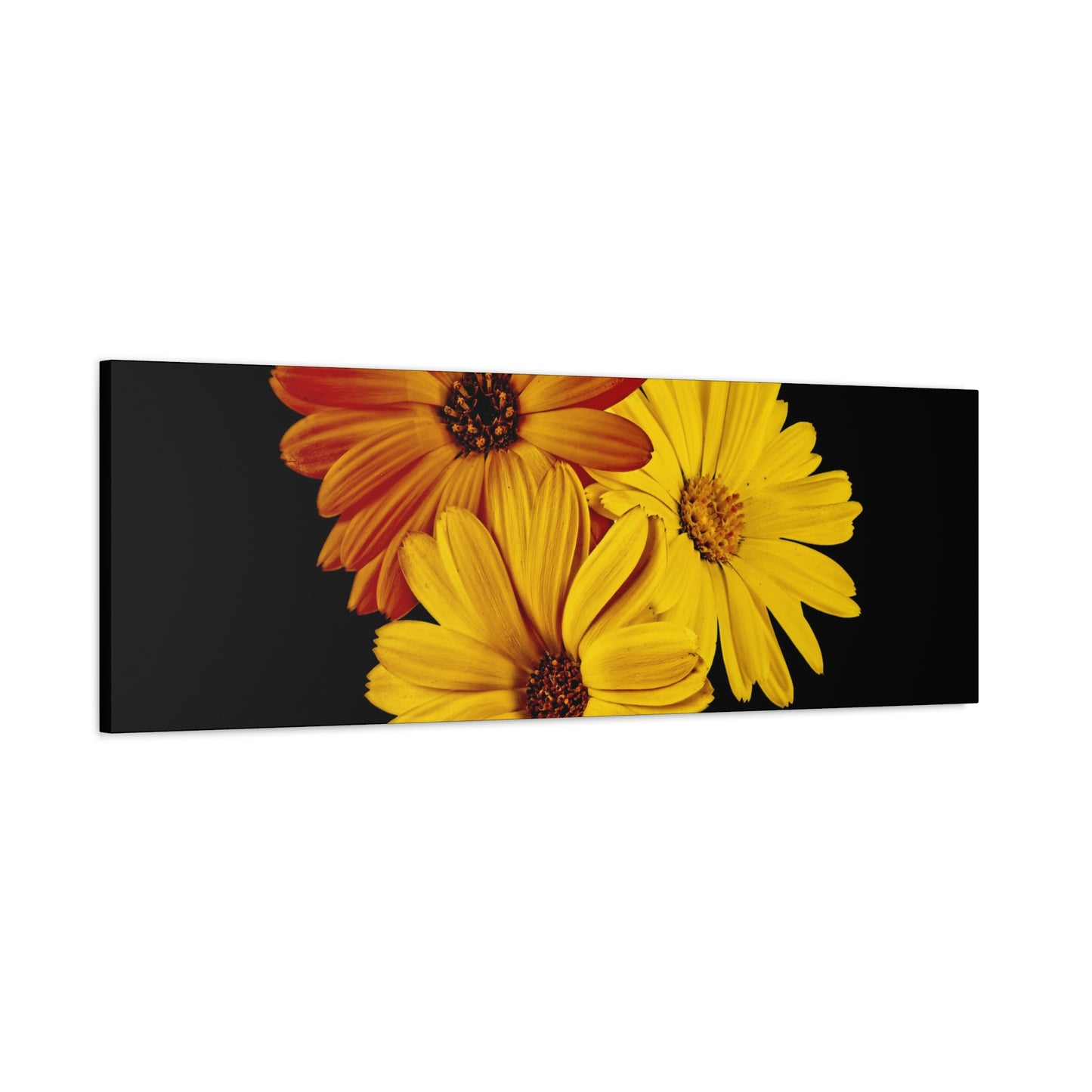 Collection Signature "FLORAL Numéro 4" sur Toile Fine Art sur Toile / Epaisseur 3,2cm - 1'25 po