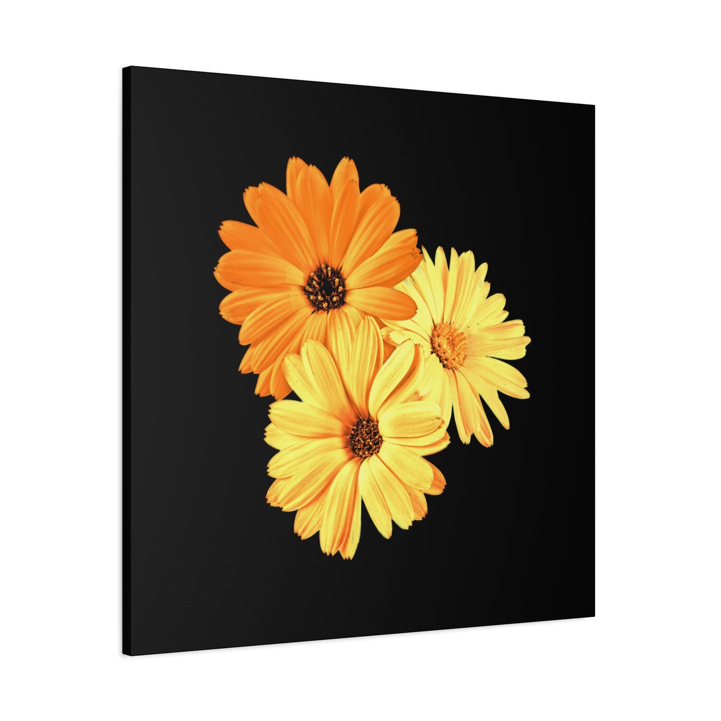 Collection Signature "FLORAL Numéro 8" sur Toile Fine Art sur Toile / Epaisseur 3,2cm - 1'25 po