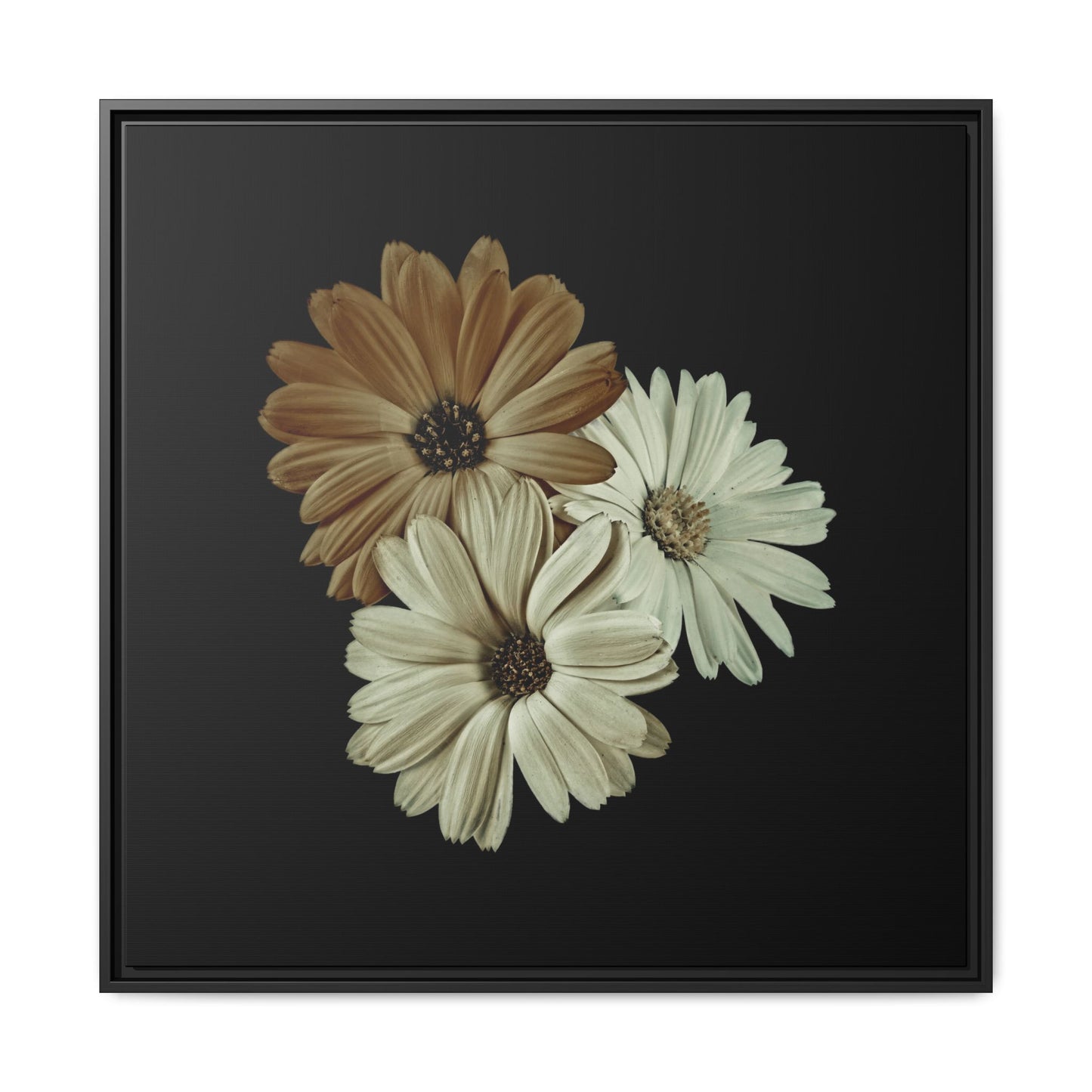 Collection Signature "FLORAL Numéro 3" sur Toile encadrée avec caisse américaine