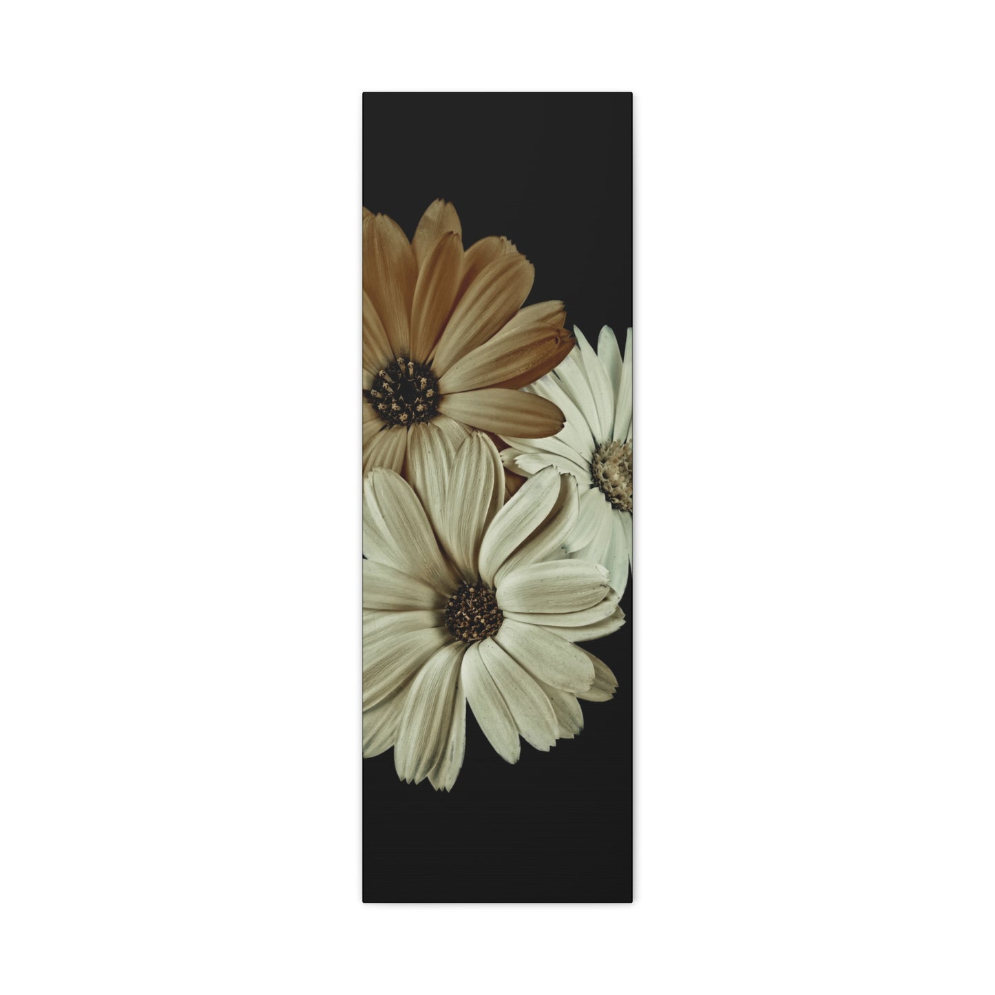 Collection Signature "FLORAL Numéro 3" sur Toile Fine Art sur Toile / Epaisseur 3,2cm - 1'25 po