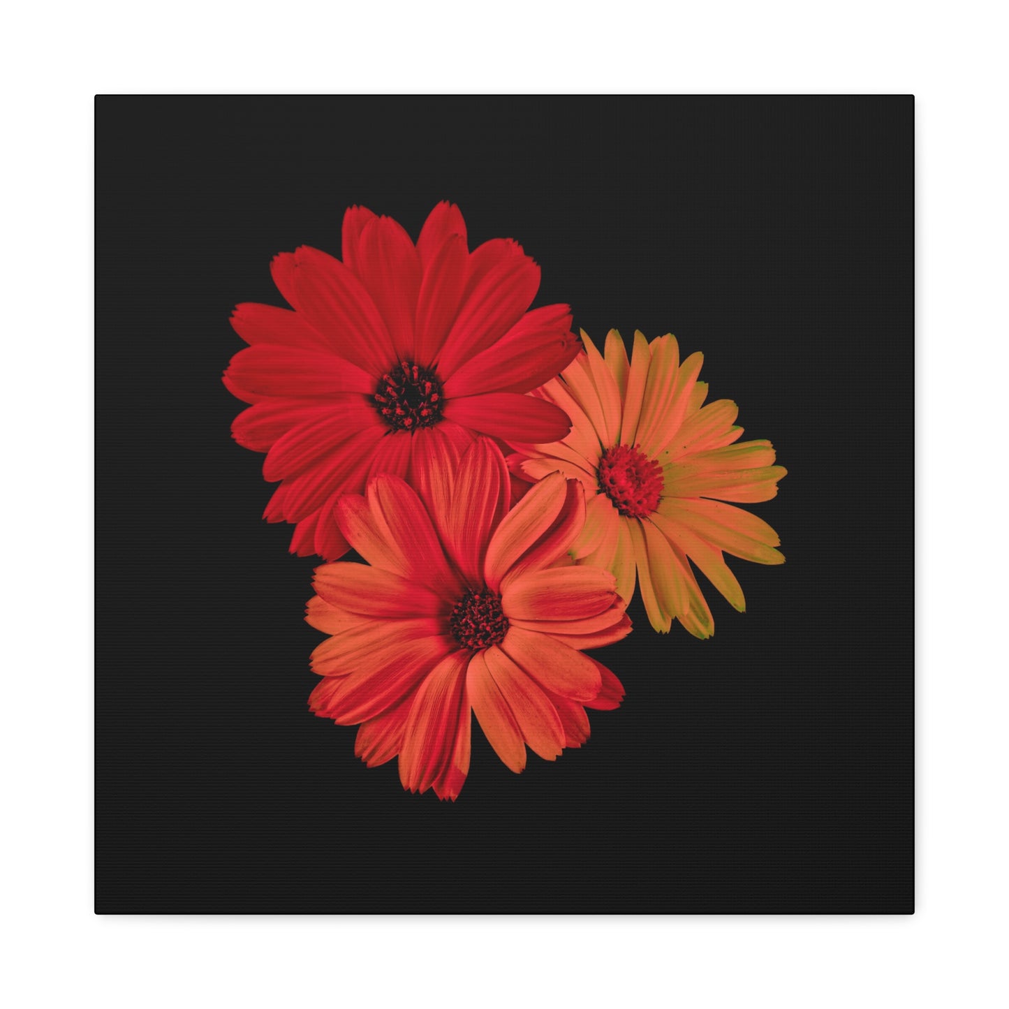 Collection Signature "FLORAL Numéro 1" sur Toile Fine Art sur Toile / Epaisseur 3,2cm - 1'25 po