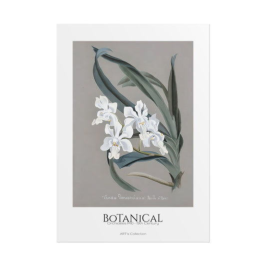 Botanical - Orchidées Pl.10 (19th Century) / Affiche imprimée - Série ART's Collection