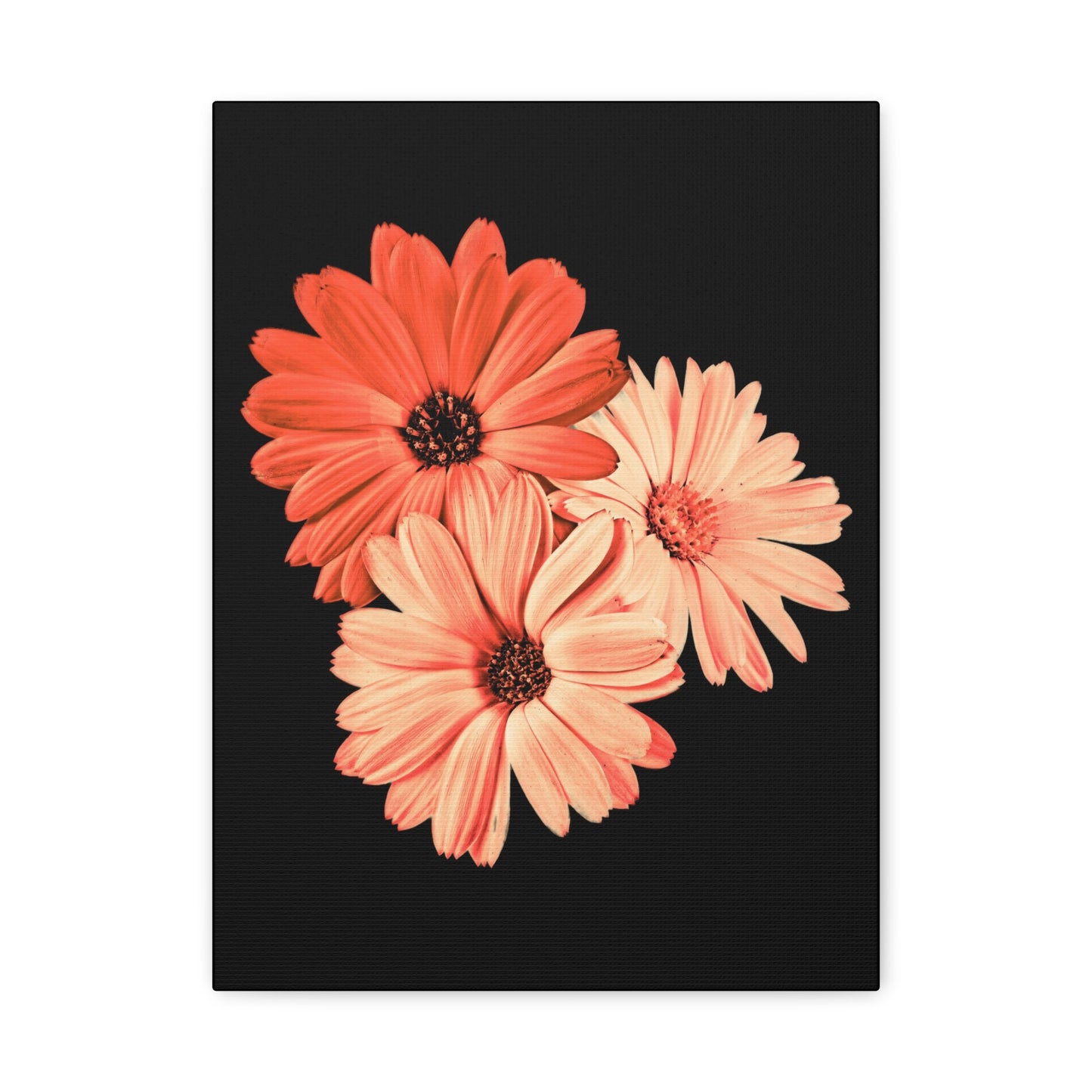 Collection Signature "FLORAL Numéro 6" sur Toile Fine Art sur Toile / Epaisseur 3,2cm - 1'25 po