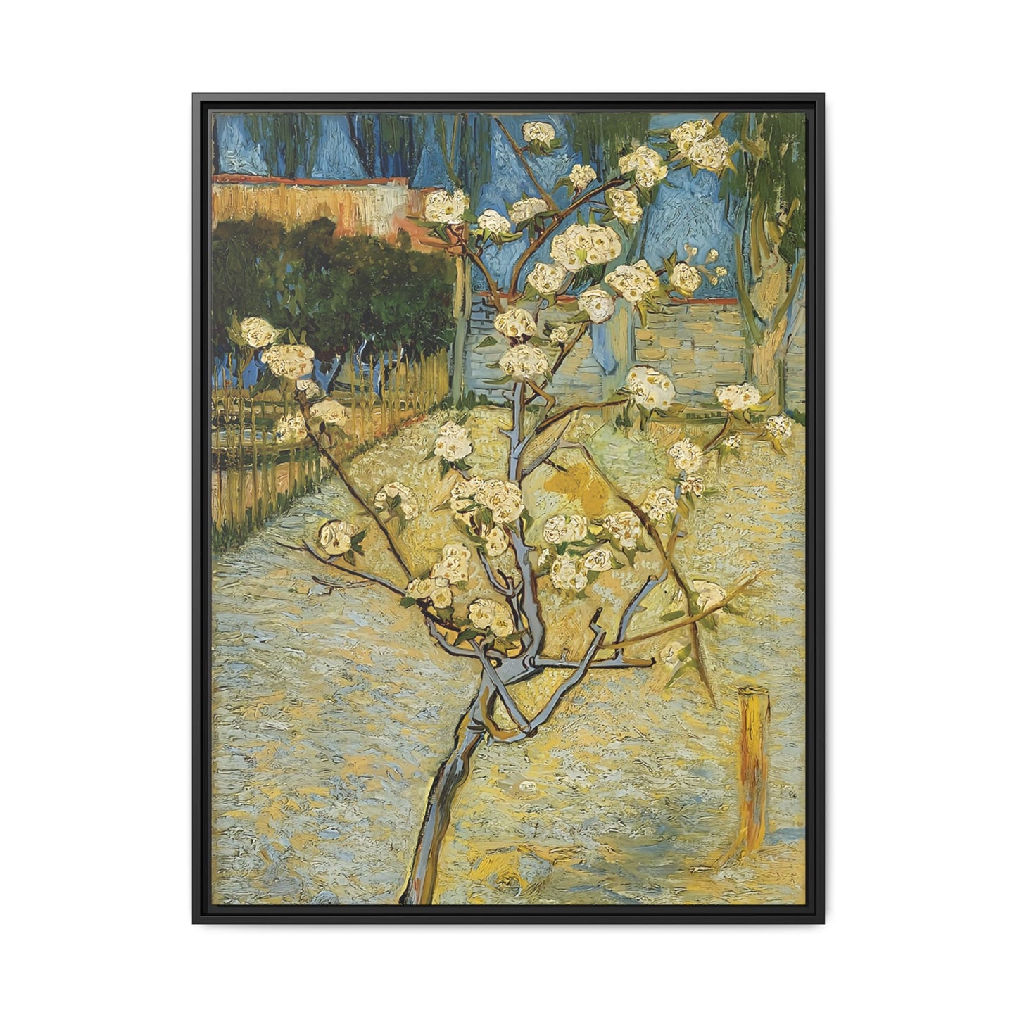 Small pear tree in blossom (1888) by Vincent van Gogh / Toile encadrée sur caisse américaine
