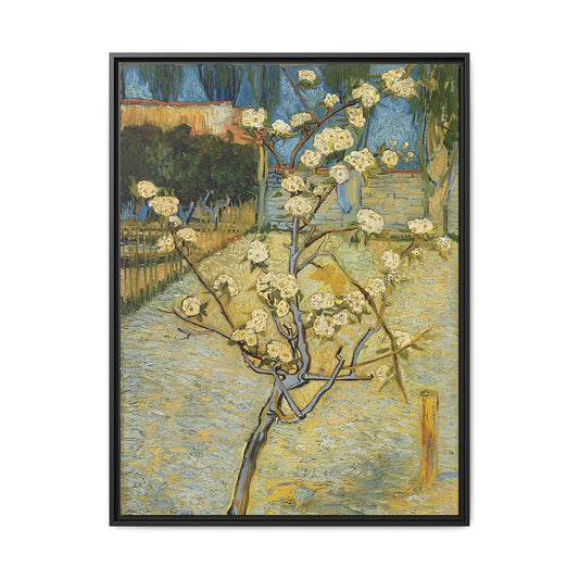 Small pear tree in blossom (1888) by Vincent van Gogh / Toile encadrée sur caisse américaine