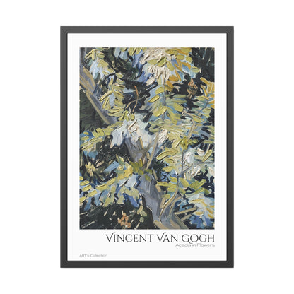 Acacia in Flowers by Vincent Van Gogh / Affiche Encadrée série ART's Collection