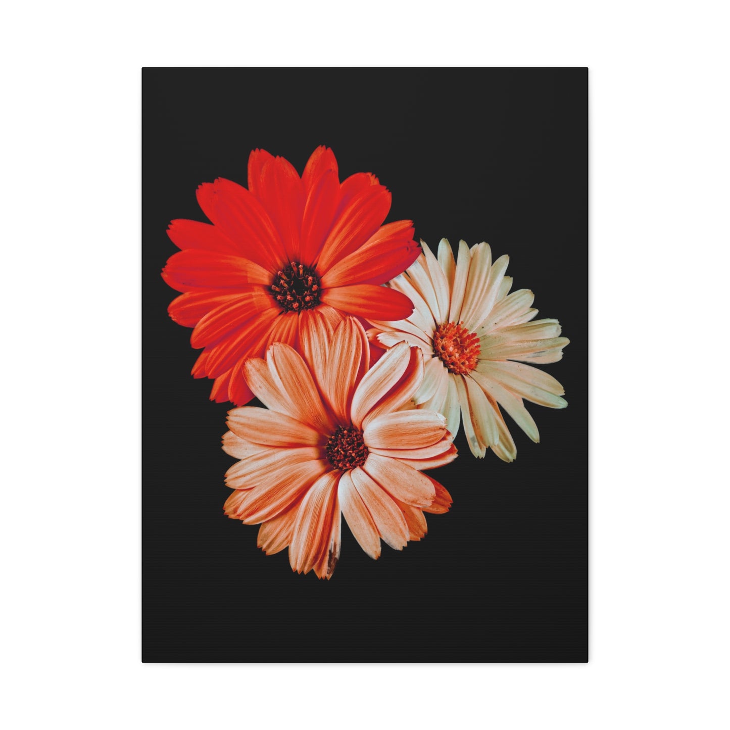 Collection Signature "FLORAL Numéro 7" sur Toile Fine Art sur Toile / Epaisseur 3,2cm - 1'25 po