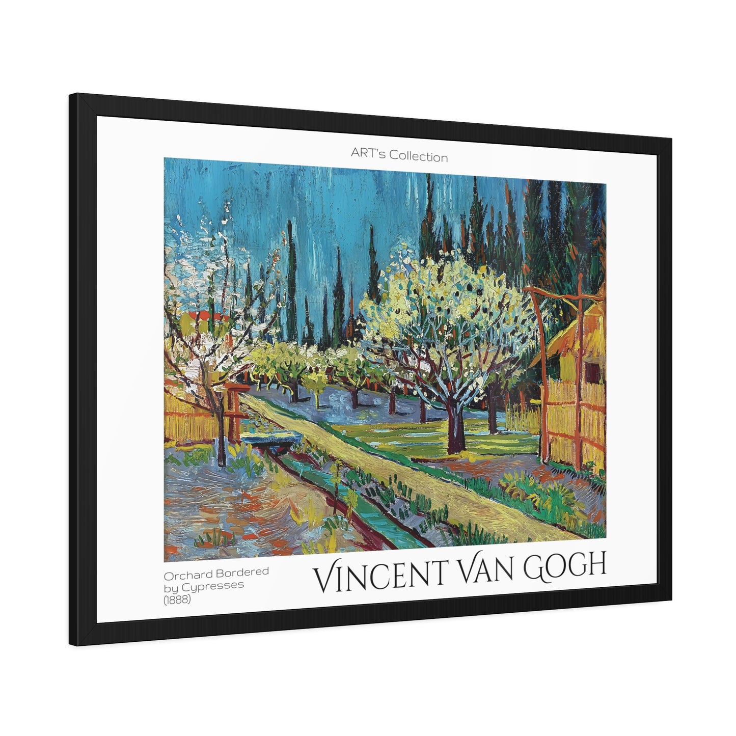 Orchard Bordered by Cypresses (1888) by Vincent Van Gogh / Affiche Encadrée série ART's Collection