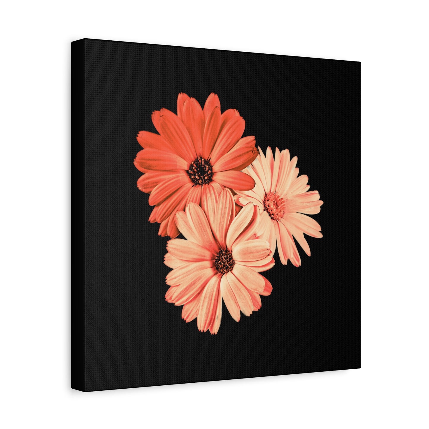 Collection Signature "FLORAL Numéro 6" sur Toile Fine Art sur Toile / Epaisseur 3,2cm - 1'25 po