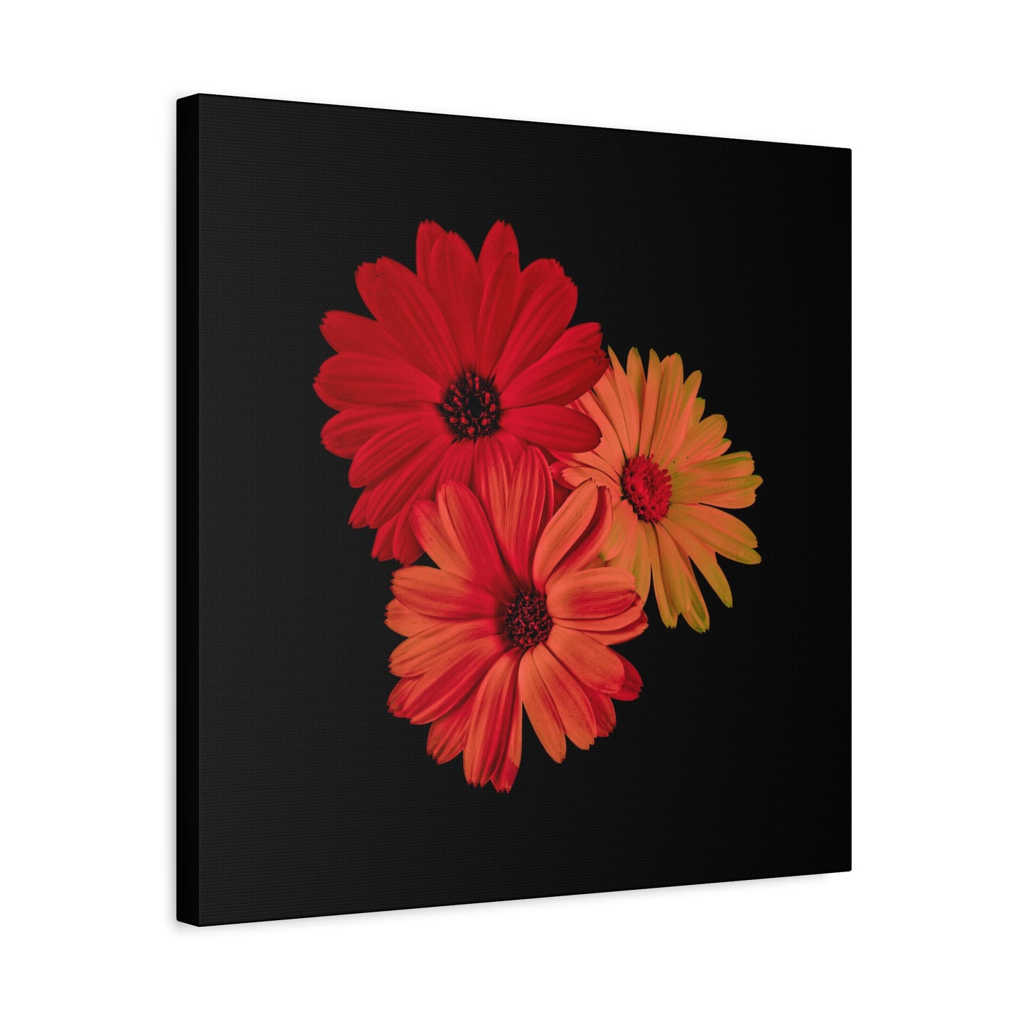Collection Signature "FLORAL Numéro 1" sur Toile Fine Art sur Toile / Epaisseur 3,2cm - 1'25 po