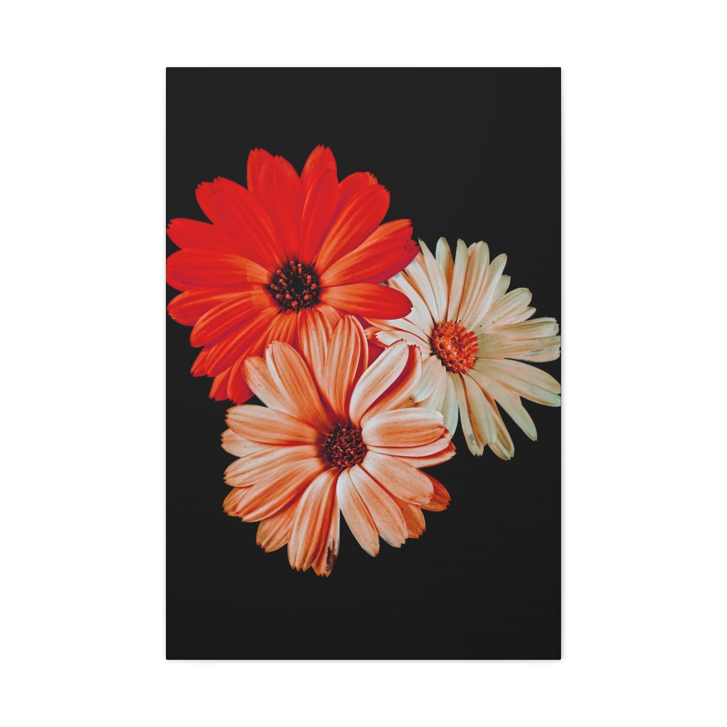 Collection Signature "FLORAL Numéro 7" sur Toile Fine Art sur Toile / Epaisseur 3,2cm - 1'25 po