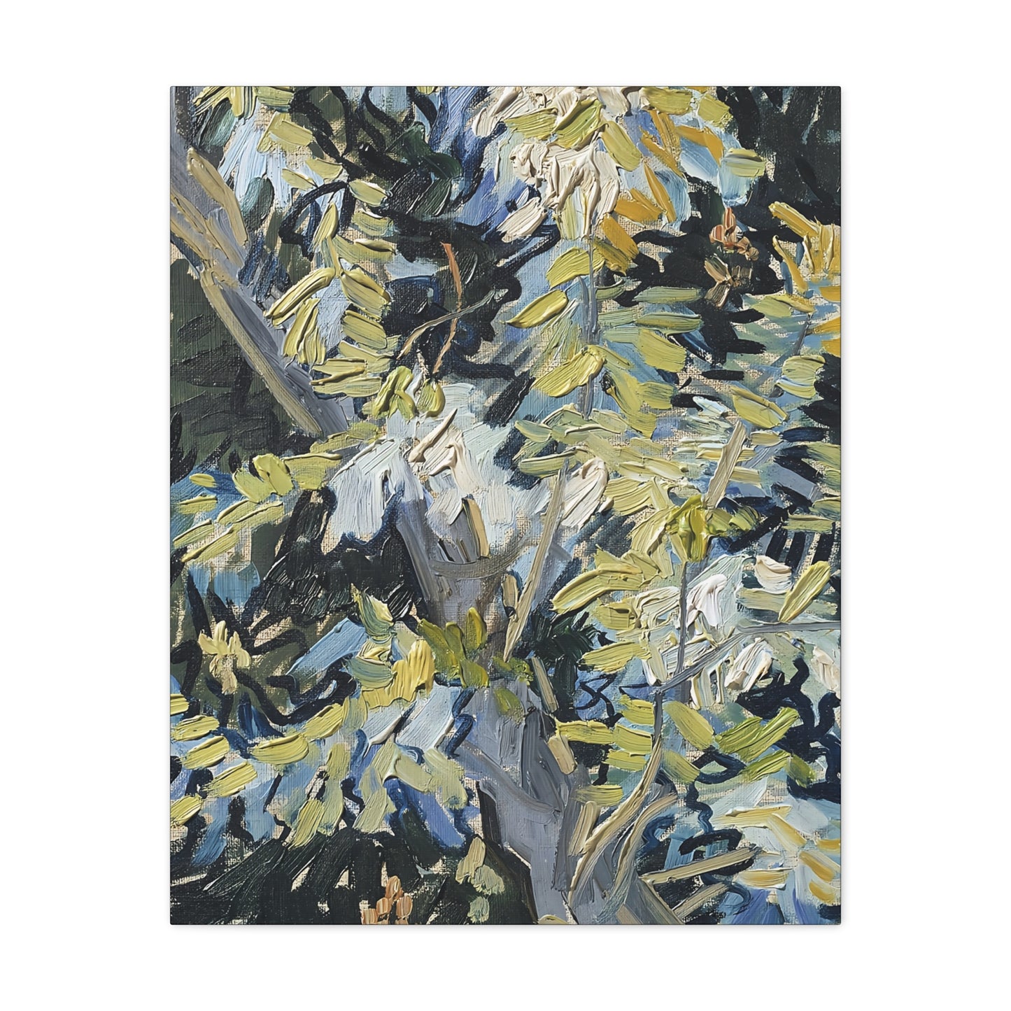Acacia in Flowers by Vincent van Gogh  / Reproduction Fine Art sur Toile / Epaisseur 3,2cm - 1'25 po