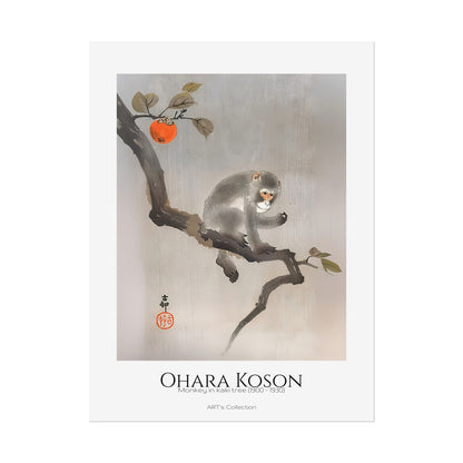 Monkey in kaki tree (1900 - 1930) by Ohara Koson / Affiche imprimée - Série ART's Collection