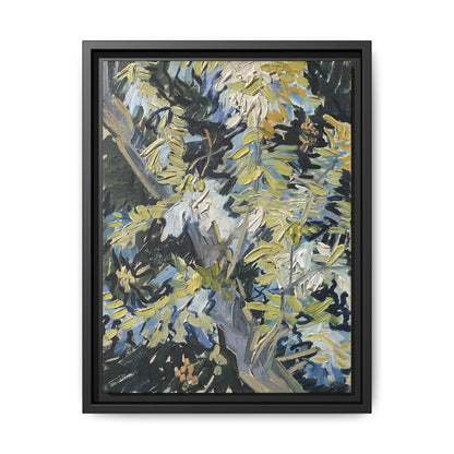 Acacia in Flowers by Vincent van Gogh / Toile encadrée sur caisse américaine