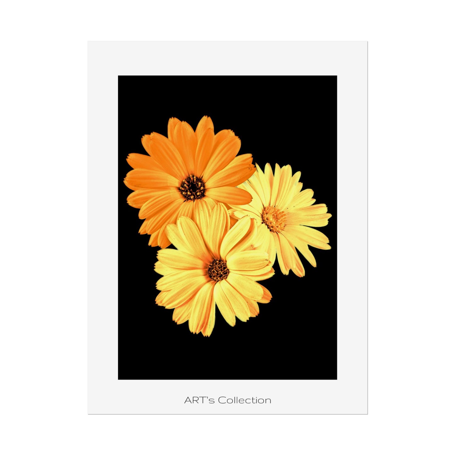 Collection Signature "FLORAL Numéro 8" sur Affiche imprimée - Série ART's Collection