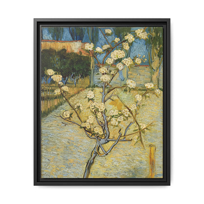 Small pear tree in blossom (1888) by Vincent van Gogh / Toile encadrée sur caisse américaine