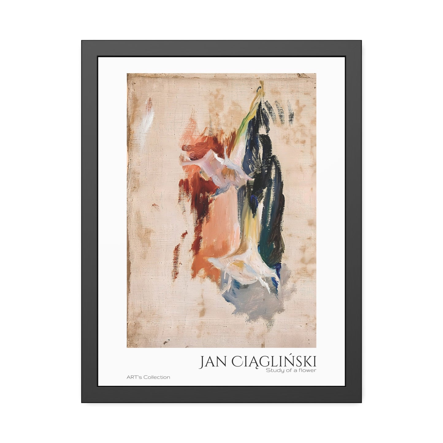 Study of a flower by Jan Ciaglinski  / Affiche Encadrée série ART's Collection