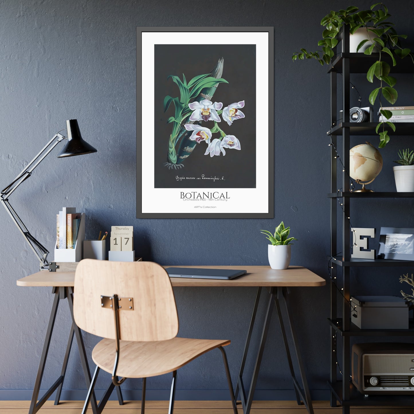 Botanical - Orchidées Pl.60 (19th Century) / Affiche Encadrée série ART's Collection