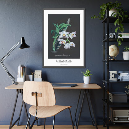 Botanical - Orchidées Pl.60 (19th Century) / Affiche Encadrée série ART's Collection