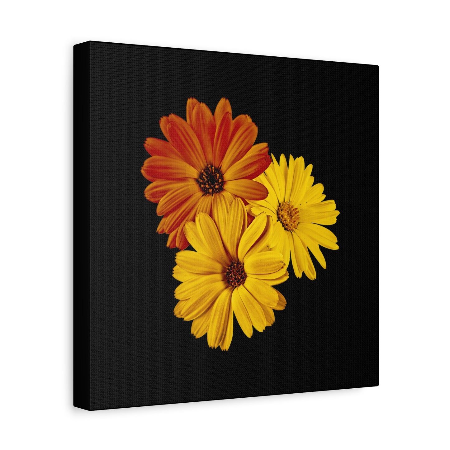 Collection Signature "FLORAL Numéro 4" sur Toile Fine Art sur Toile / Epaisseur 3,2cm - 1'25 po