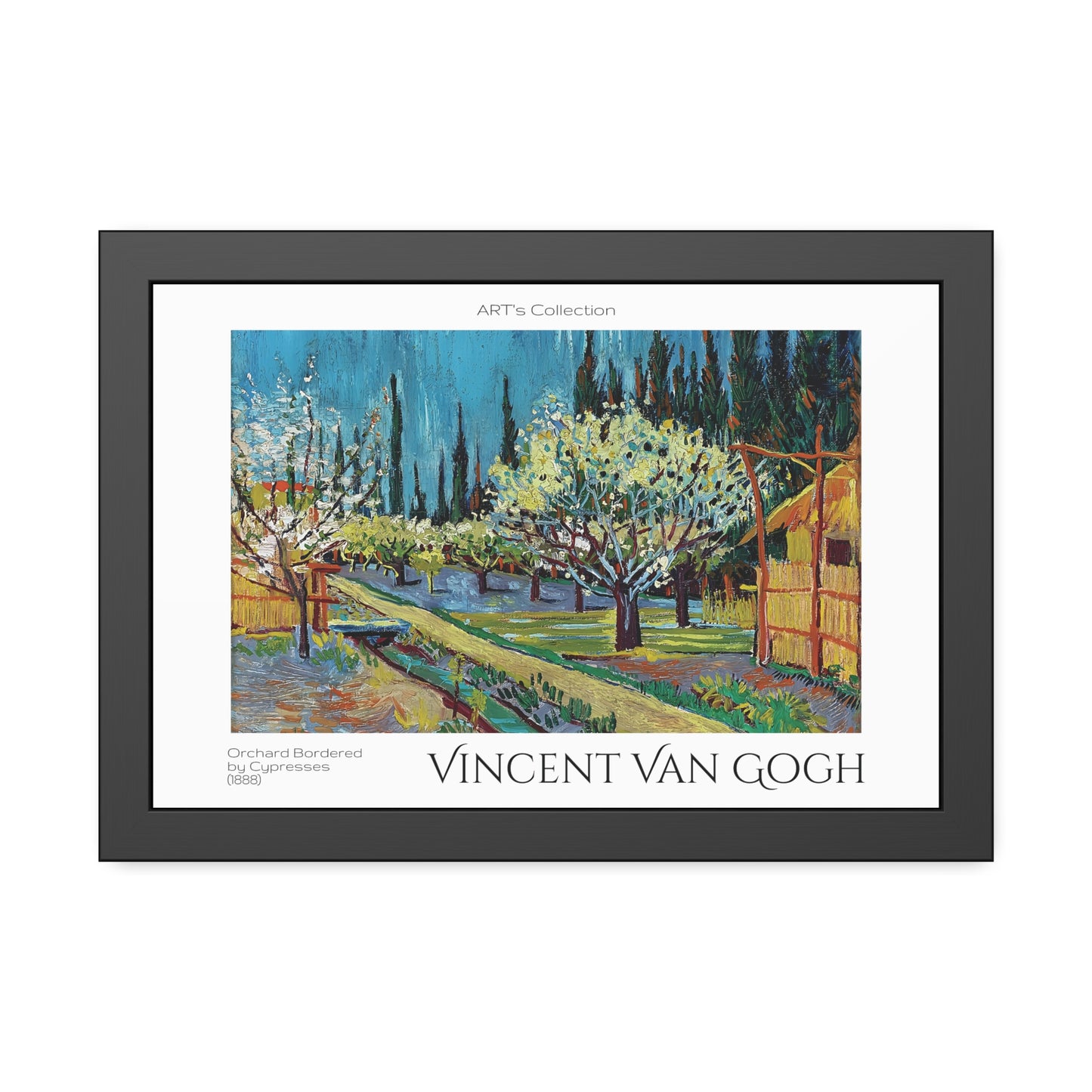 Orchard Bordered by Cypresses (1888) by Vincent Van Gogh / Affiche Encadrée série ART's Collection