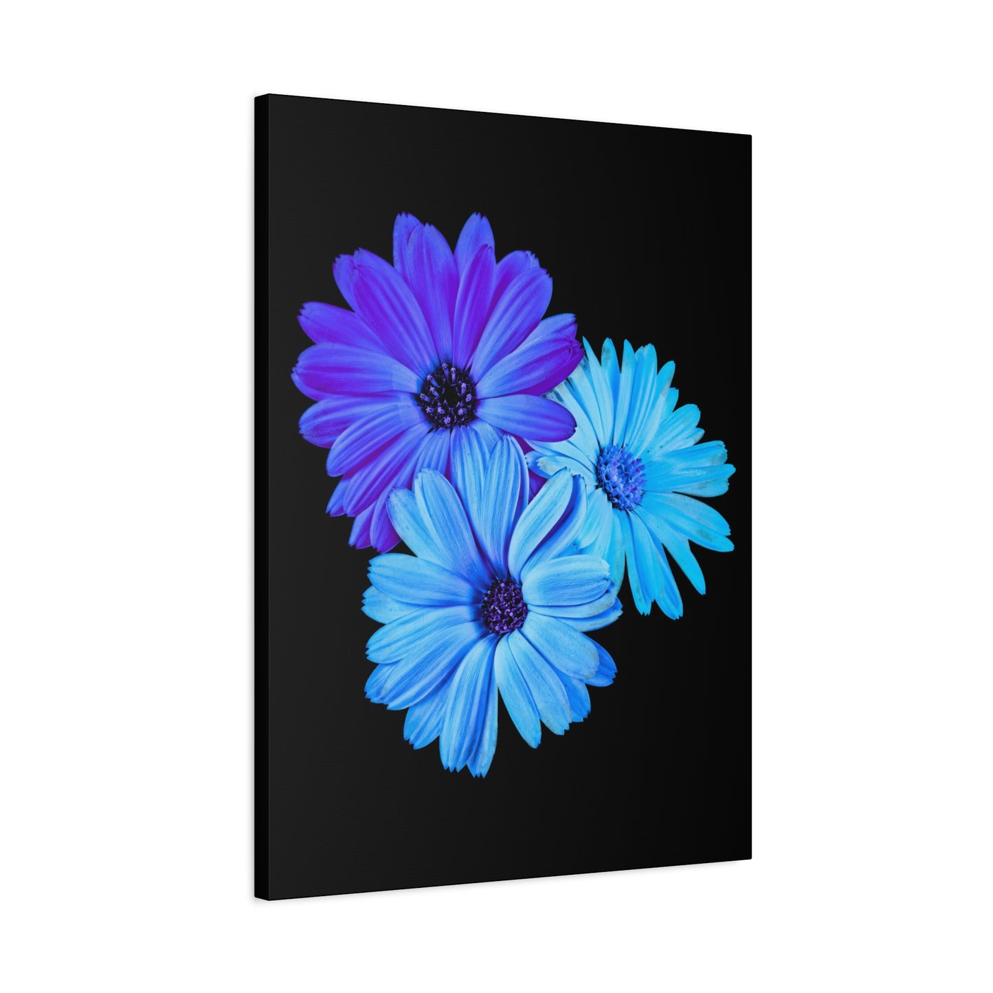 Collection Signature "FLORAL Numéro 2" sur Toile Fine Art sur Toile / Epaisseur 3,2cm - 1'25 po