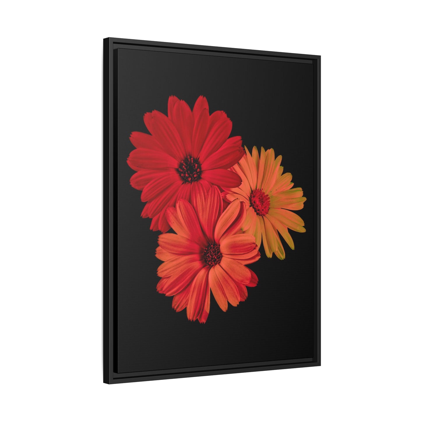 Collection Signature "FLORAL Numéro 1" sur Toile encadrée avec caisse américaine