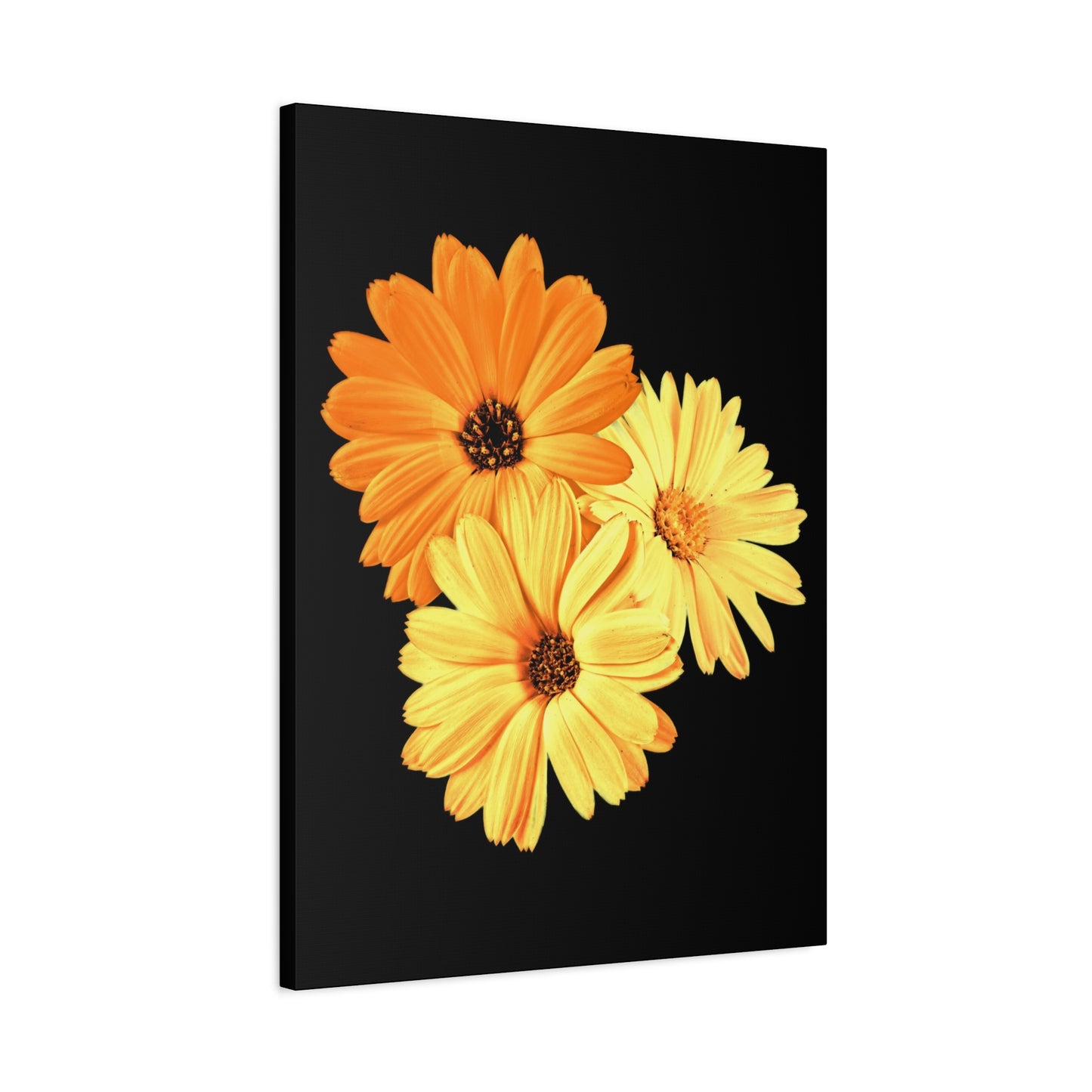 Collection Signature "FLORAL Numéro 8" sur Toile Fine Art sur Toile / Epaisseur 3,2cm - 1'25 po