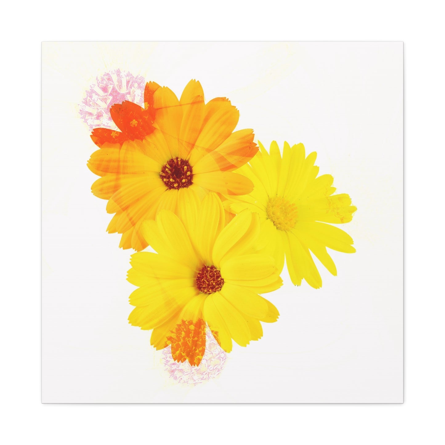 Collection Signature "FLORAL Numéro 16" sur Toile Fine Art sur Toile / Epaisseur 3,2cm - 1'25 po