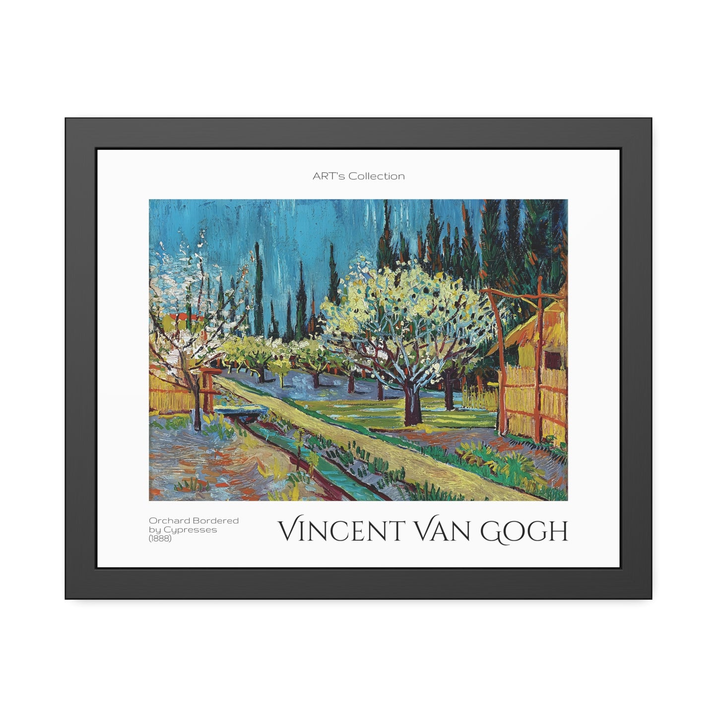 Orchard Bordered by Cypresses (1888) by Vincent Van Gogh / Affiche Encadrée série ART's Collection