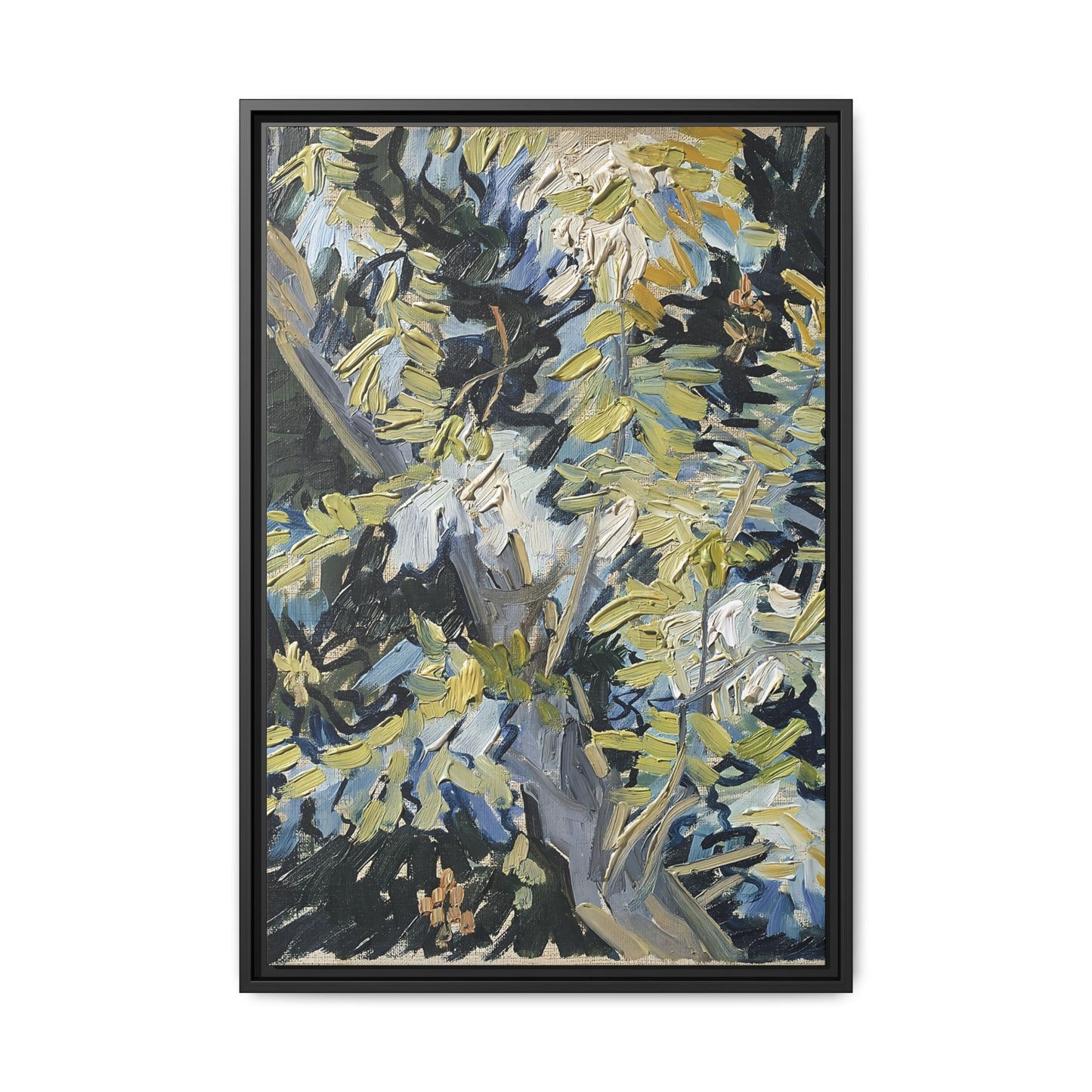 Acacia in Flowers by Vincent van Gogh / Toile encadrée sur caisse américaine
