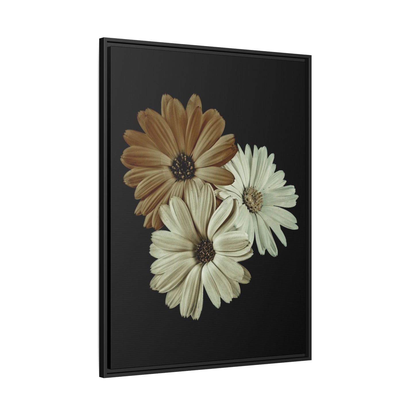 Collection Signature "FLORAL Numéro 3" sur Toile encadrée avec caisse américaine