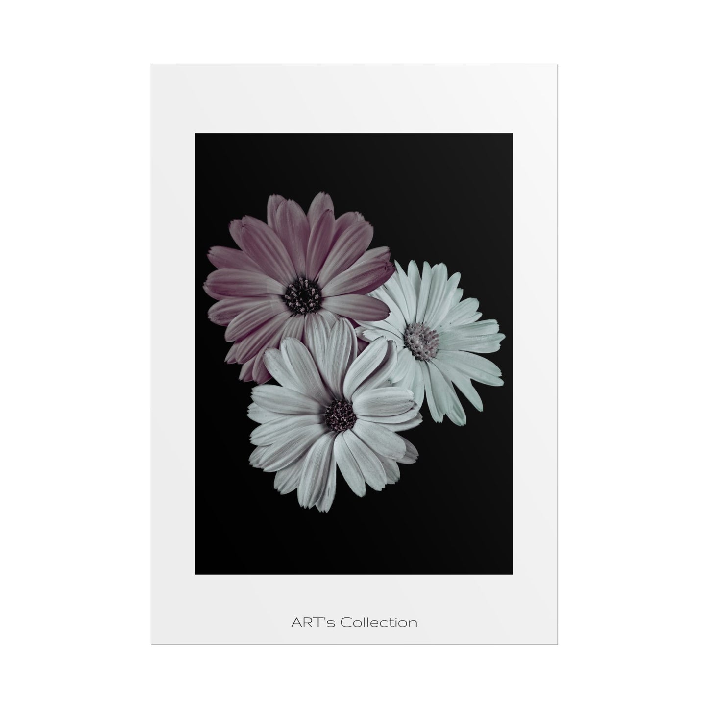 Collection Signature "FLORAL Numéro 5" sur Affiche imprimée - Série ART's Collection
