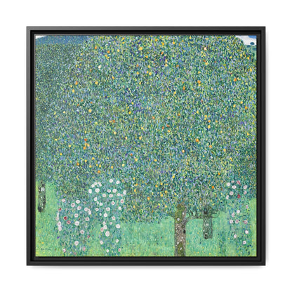 Rosebushes under the Trees (circa 1905)  by Gustav Klimt / Toile encadrée sur caisse américaine